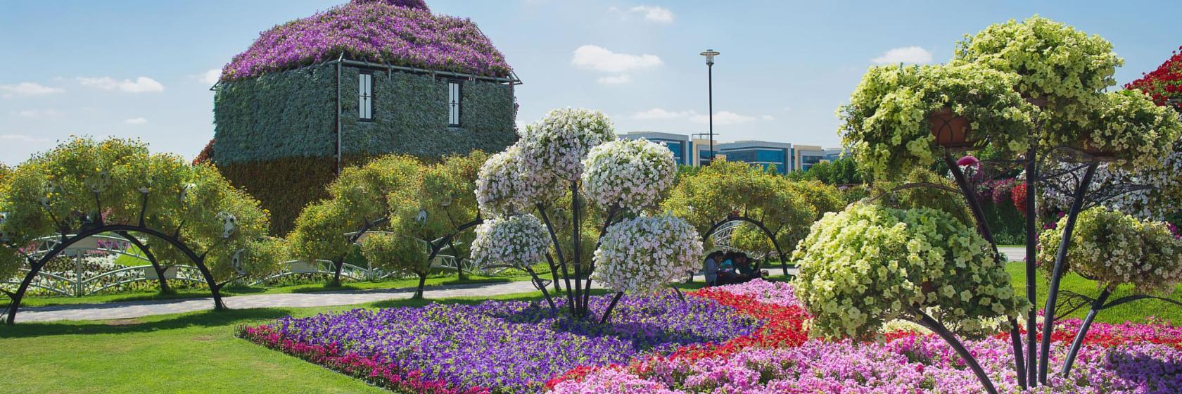Miracle Garden de Dubaï